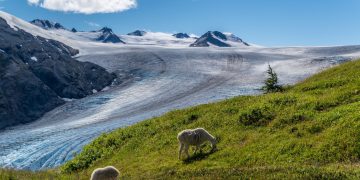 Top 6 Businesses Committed to Tackling Climate Change