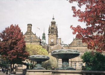 SDP Student Homes commit to planting a tree for every student