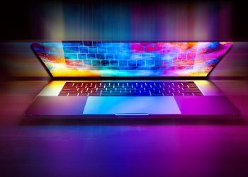 What Is a Live Portal and Why Is It So Attractive?