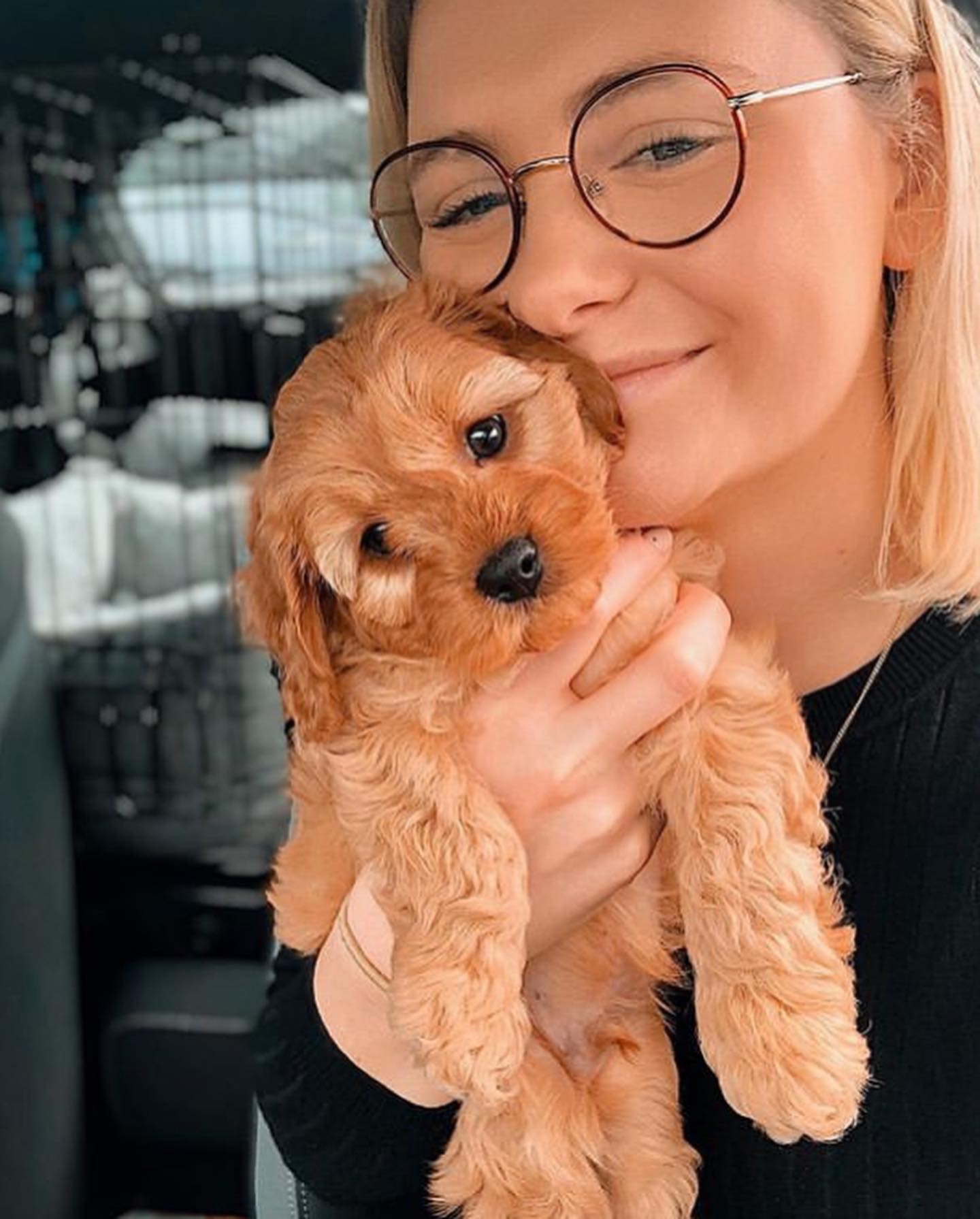 Rosedale Doodles: How Canine Interactions Help To Improve Wellbeing ...