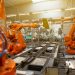 The Importance of Load Testing and Balancing in Machine Moving