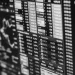 LSE tokenized stocks Kraken