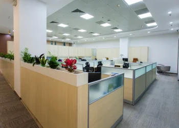 startup work culture expectations