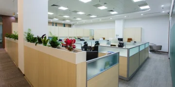 startup work culture expectations