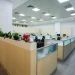 startup work culture expectations
